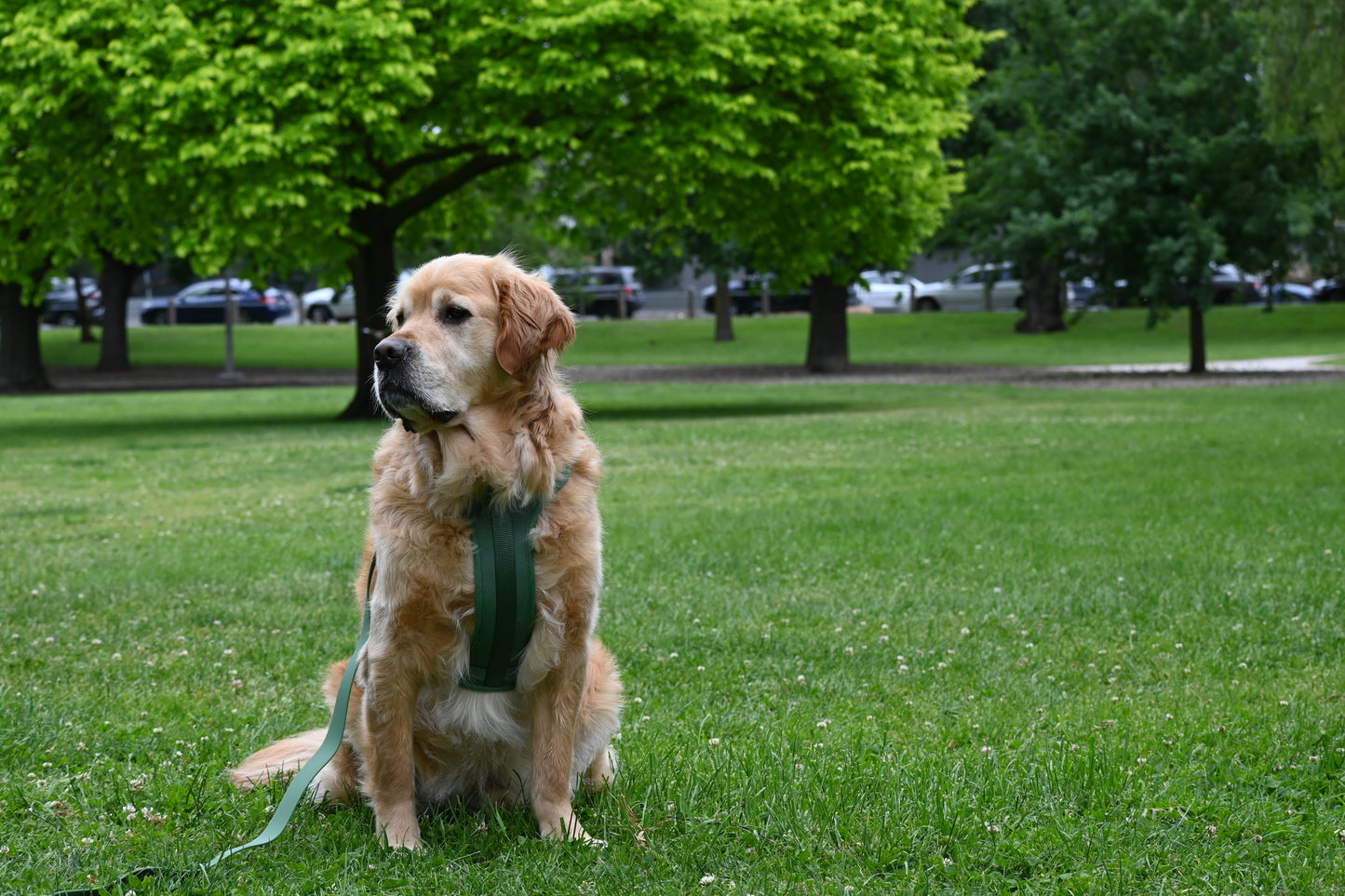 Walk-Kit Green